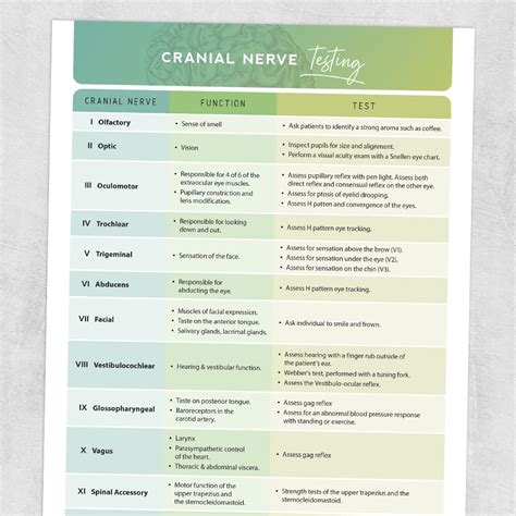 Cranial Nerve Testing .